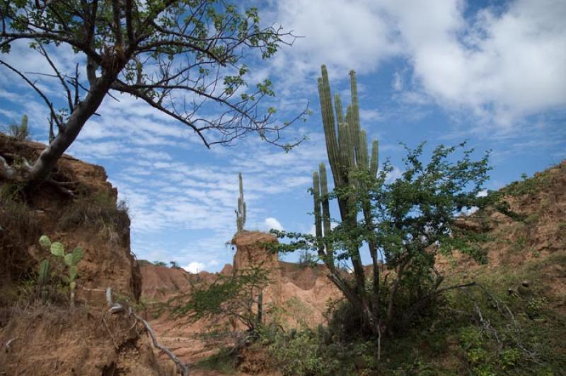 Desierto de la Tatacoa, Huila, Neiva, Colombia