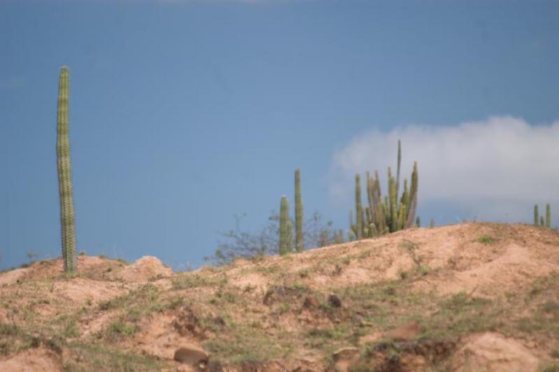 Desierto de la Tatacoa, Huila, Neiva, Colombia