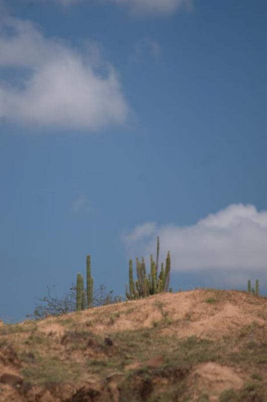 Desierto de la Tatacoa, Huila, Neiva, Colombia