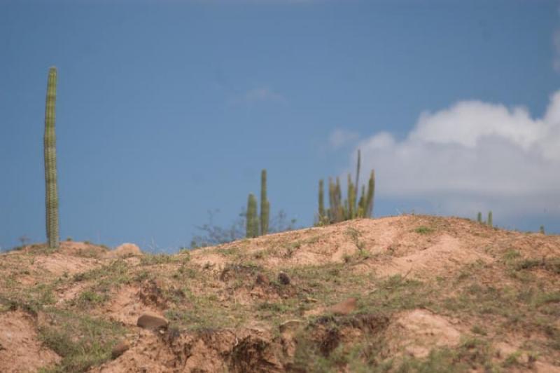 Desierto de la Tatacoa, Huila, Neiva, Colombia