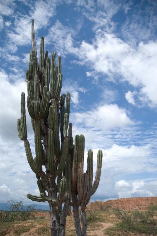 Desierto de la Tatacoa, Huila, Neiva, Colombia