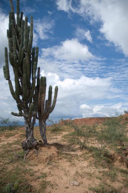 Desierto de la Tatacoa, Huila, Neiva, Colombia