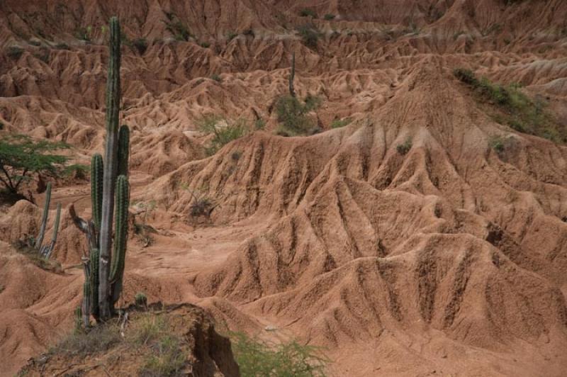 Desierto de la Tatacoa, Huila, Neiva, Colombia