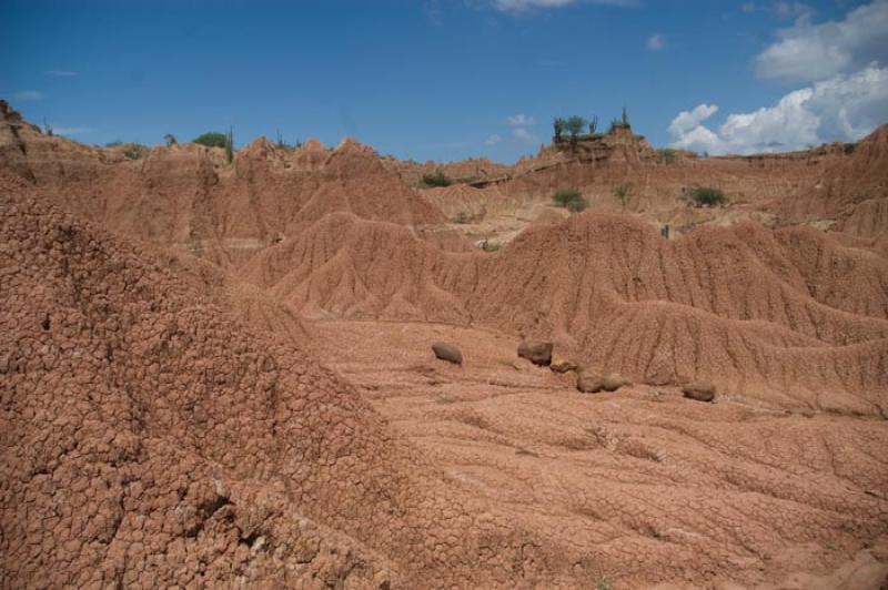 Desierto de la Tatacoa, Huila, Neiva, Colombia