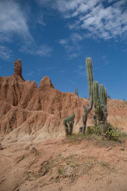 Desierto de la Tatacoa, Huila, Neiva, Colombia