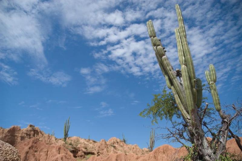 Desierto de la Tatacoa, Huila, Neiva, Colombia