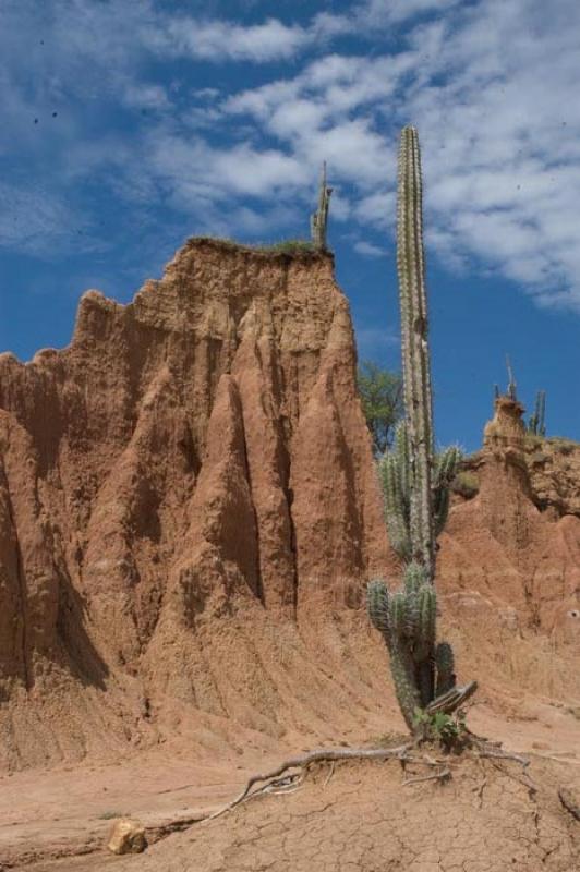 Desierto de la Tatacoa, Huila, Neiva, Colombia