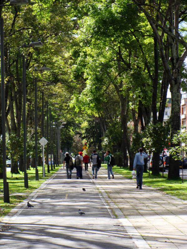 Cicloruta en Bogota, Cundinamarca, Colombia