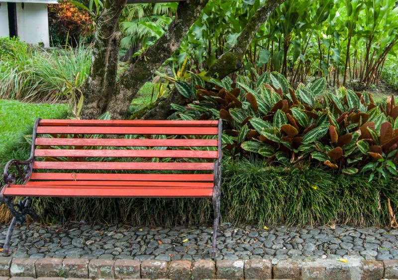 Banca en el Jardin