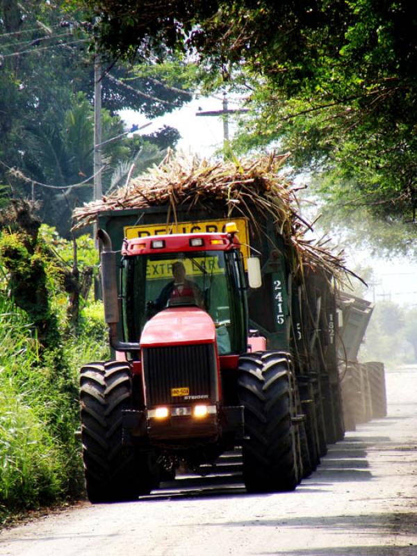 Tren de la CaÃ±a, El Cerrito, Valle del Cauca, C...