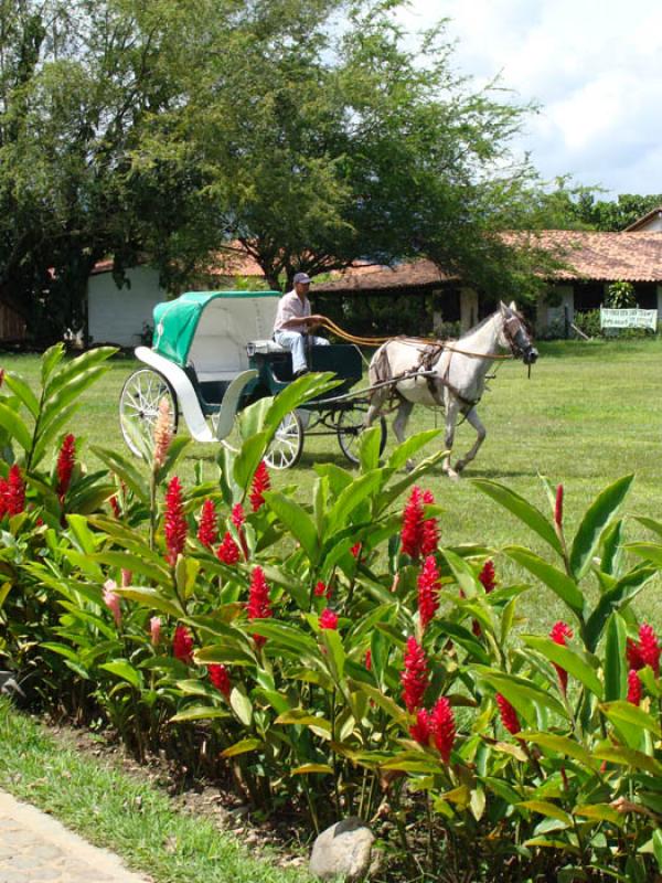 Hacienda Piedechinche, El Cerrito, Valle del Cauca...